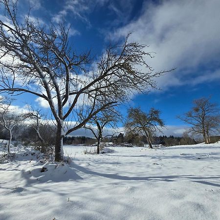 Vila Gite La Menou Usson-en-Forez Exteriér fotografie