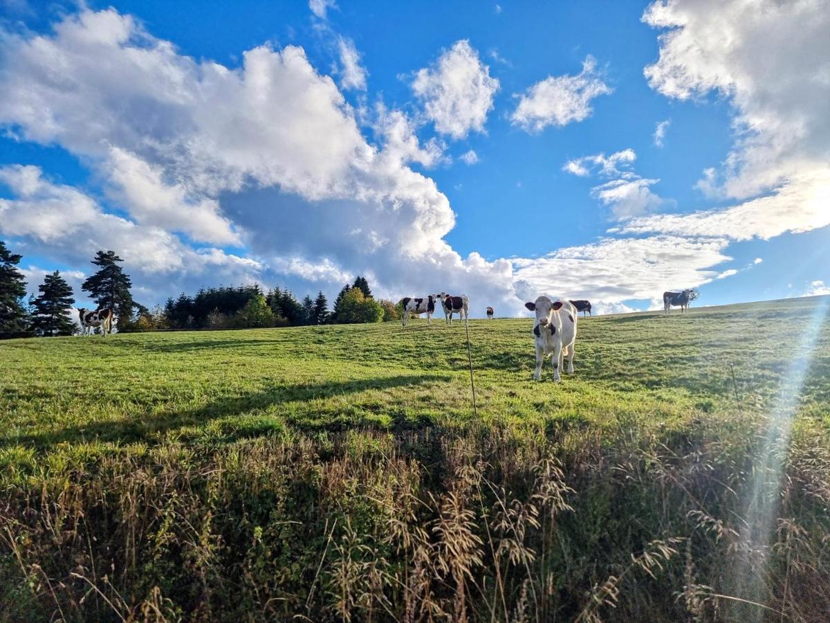 Vila Gite La Menou Usson-en-Forez Exteriér fotografie