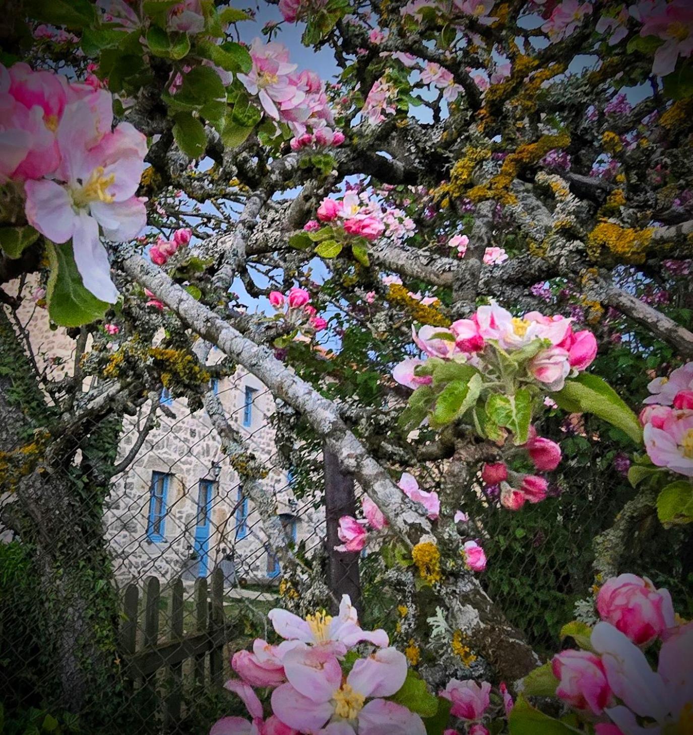 Vila Gite La Menou Usson-en-Forez Exteriér fotografie