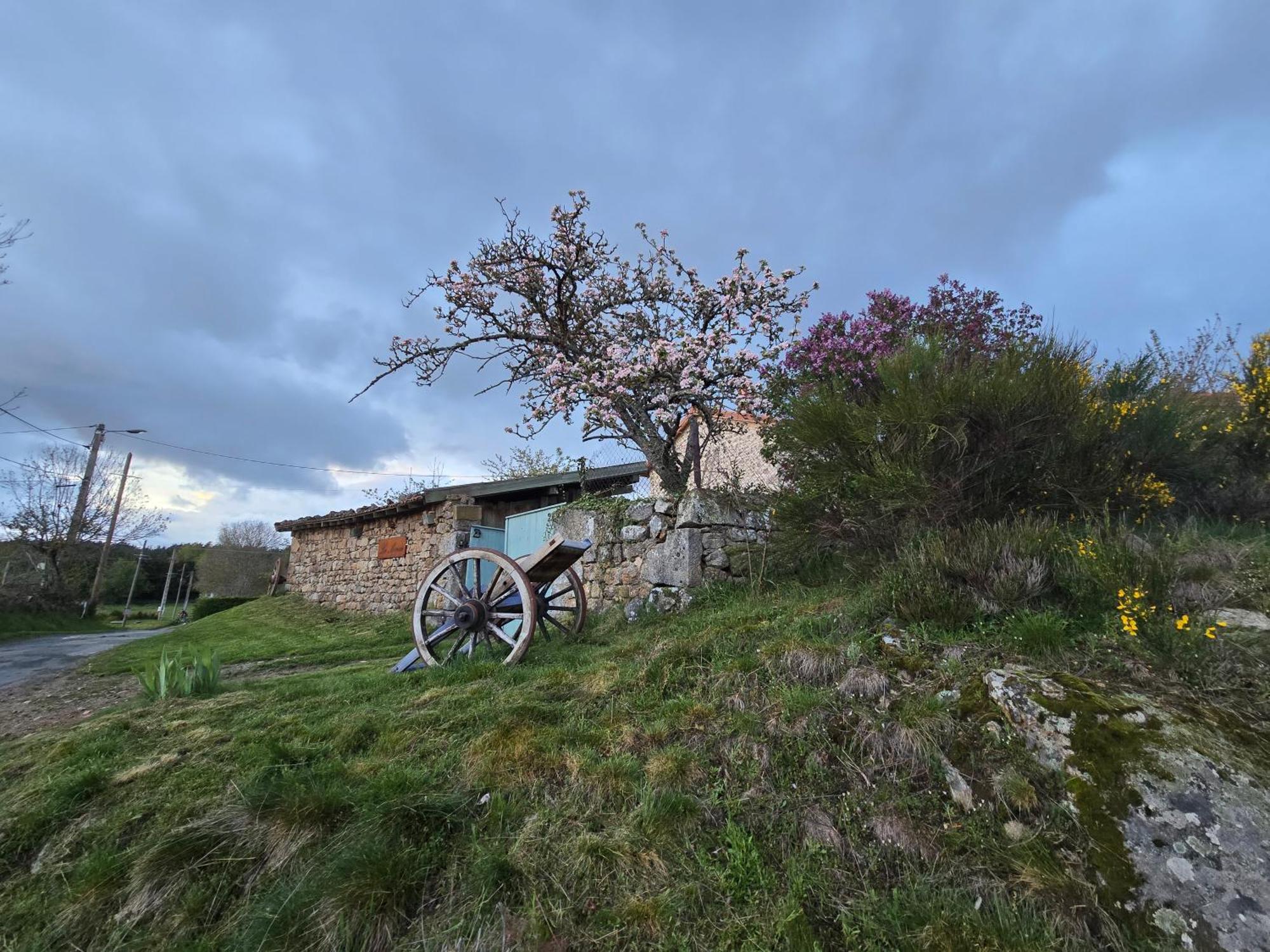 Vila Gite La Menou Usson-en-Forez Pokoj fotografie