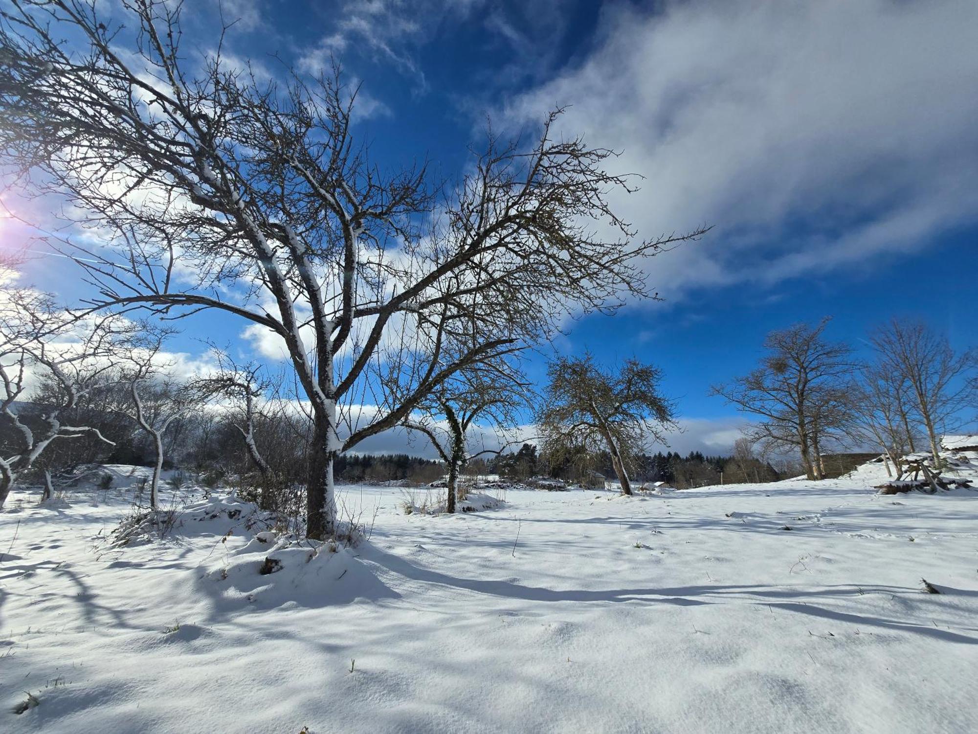 Vila Gite La Menou Usson-en-Forez Exteriér fotografie